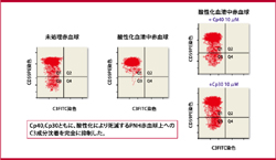 図2．Cp30およびCp40によるPNH赤血球のC3オプソニン化に対する効果：C3成分沈着の抑制効果