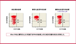 図3．Mini-FHによるPNH赤血球のC3オプソニン化に対する効果：C3成分沈着の抑制効果