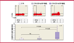図2．内因性GPIに対するT細胞の反応性