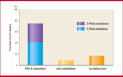 図2.PIG-A遺伝子変異の検出