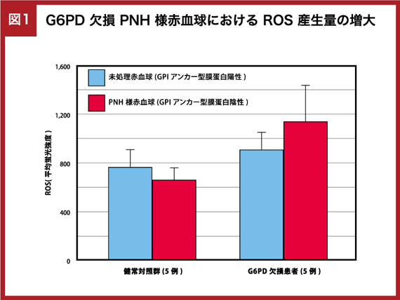図1. G6PD欠損PNH様赤血球におけるROS産生量の増大