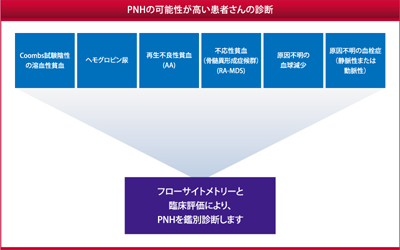 図３： PNHの可能性が高い要因